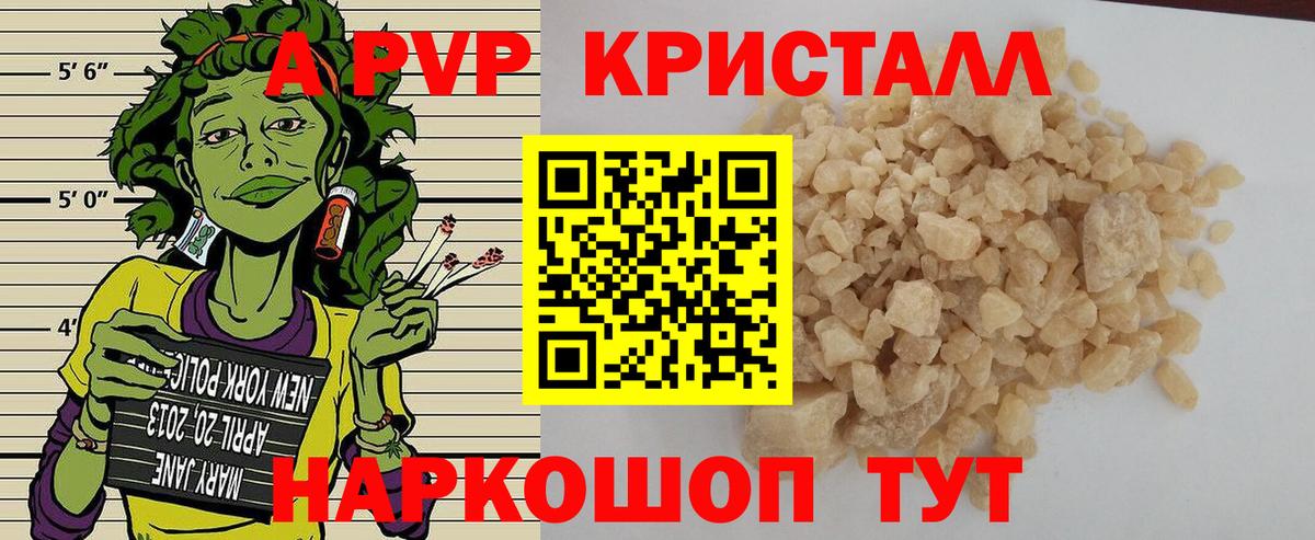 A PVP СК КРИС Печора