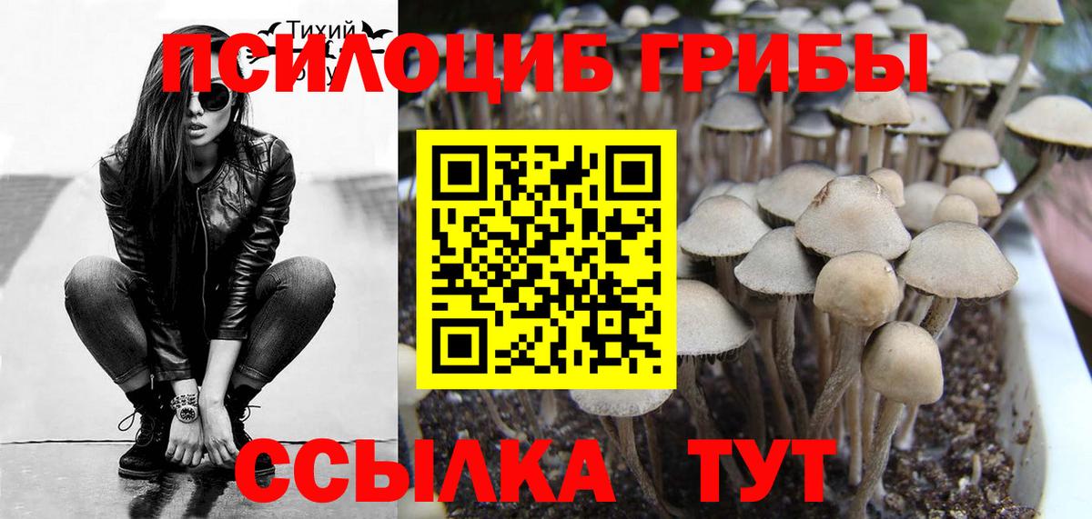 Галлюциногенные грибы Cubensis  Вход с VPN  Печора  Галлюциногенные грибы ЛСД 