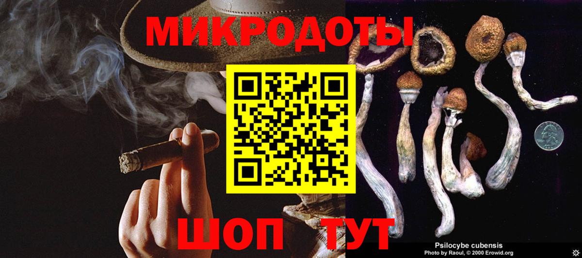Псилоцибиновые грибы Magic Shrooms Печора